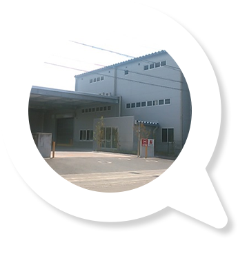 2016年1月