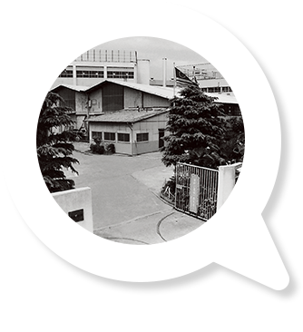 1962年11月
