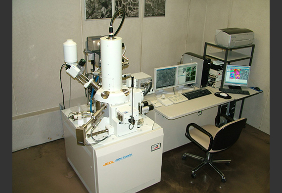 Field Emission Scanning Electron Microscope (FE-SEM)