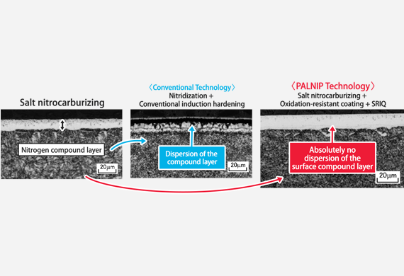 “PALNIP": highly functional through synergy with nitriding