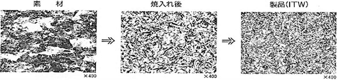 組織写真